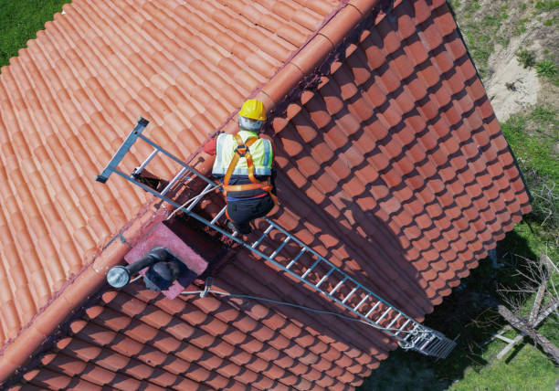 Best Skylight Installation and Repair  in Country Lake Estates, NJ